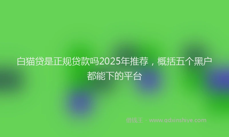 白猫贷是正规贷款吗2025年推荐，概括五个黑户都能下的平台