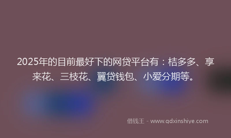 2025年的目前最好下的网贷平台有：桔多多、享来花、三枝花、翼贷钱包、小爱分期等。