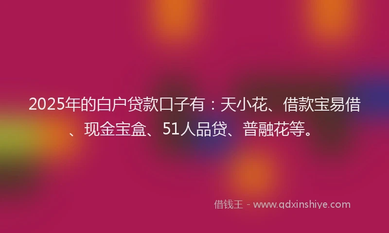 2025年的白户贷款口子有：天小花、借款宝易借、现金宝盒、51人品贷、普融花等。