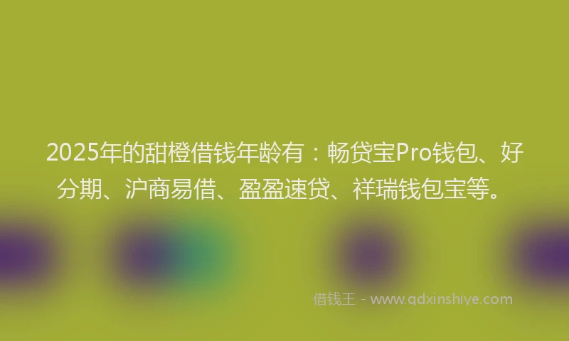 2025年的甜橙借钱年龄有：畅贷宝Pro钱包、好分期、沪商易借、盈盈速贷、祥瑞钱包宝等。