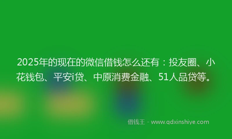 2025年的现在的微信借钱怎么还有：投友圈、小花钱包、平安i贷、中原消费金融、51人品贷等。