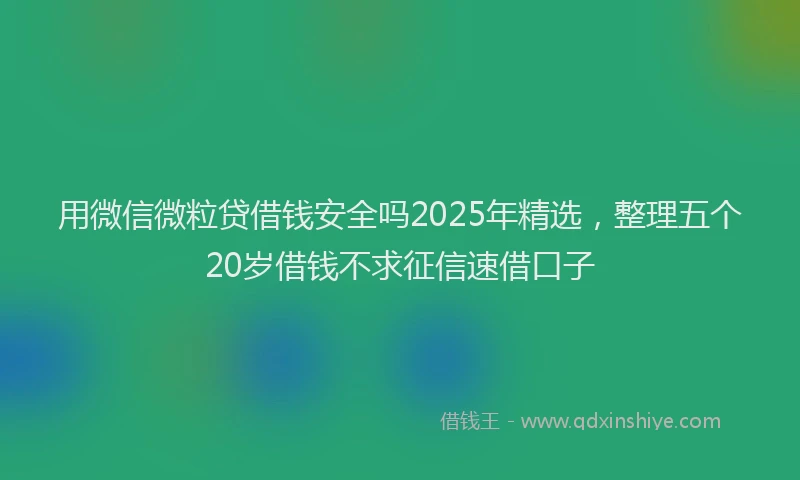 用微信微粒贷借钱安全吗2025年精选，整理五个20岁借钱不求征信速借口子
