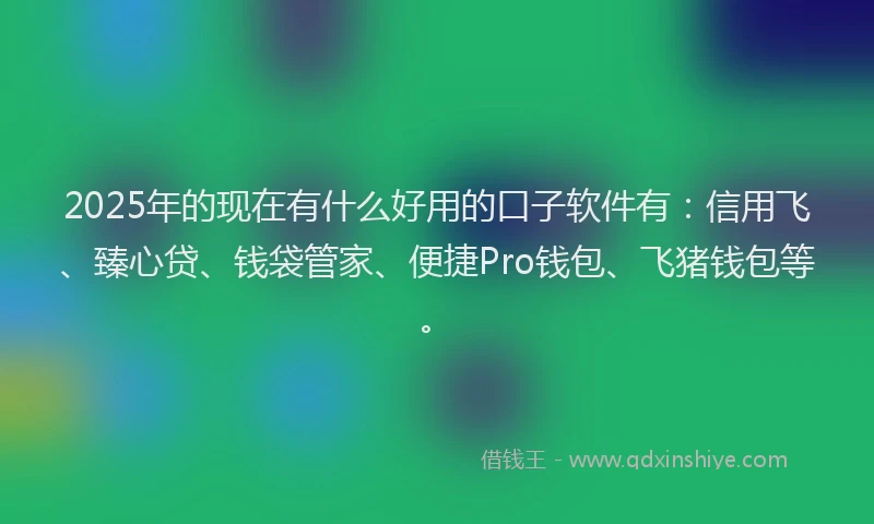 2025年的现在有什么好用的口子软件有：信用飞、臻心贷、钱袋管家、便捷Pro钱包、飞猪钱包等。
