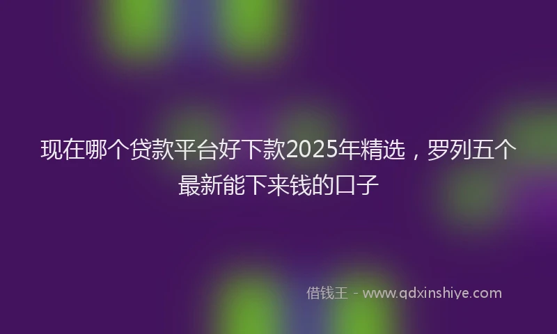 现在哪个贷款平台好下款2025年精选，罗列五个最新能下来钱的口子