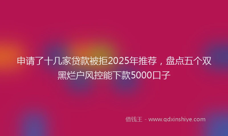 申请了十几家贷款被拒2025年推荐，盘点五个双黑烂户风控能下款5000口子