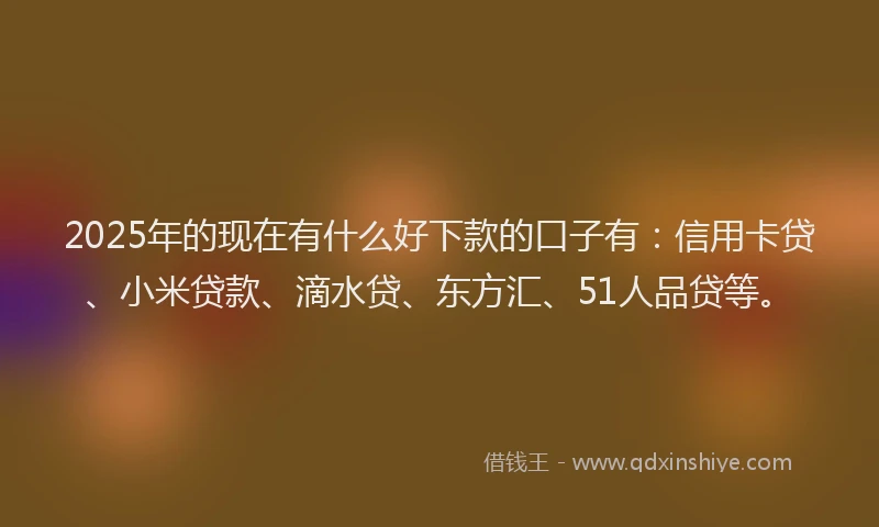 2025年的现在有什么好下款的口子有：信用卡贷、小米贷款、滴水贷、东方汇、51人品贷等。
