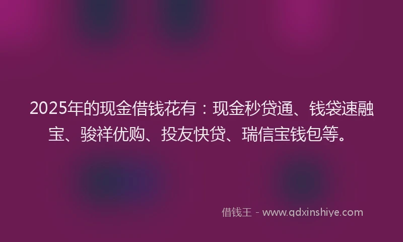 2025年的现金借钱花有：现金秒贷通、钱袋速融宝、骏祥优购、投友快贷、瑞信宝钱包等。