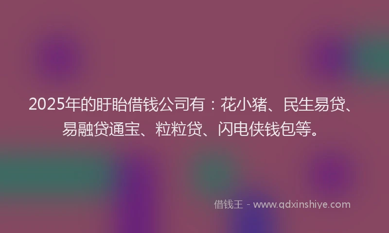 2025年的盱眙借钱公司有：花小猪、民生易贷、易融贷通宝、粒粒贷、闪电侠钱包等。