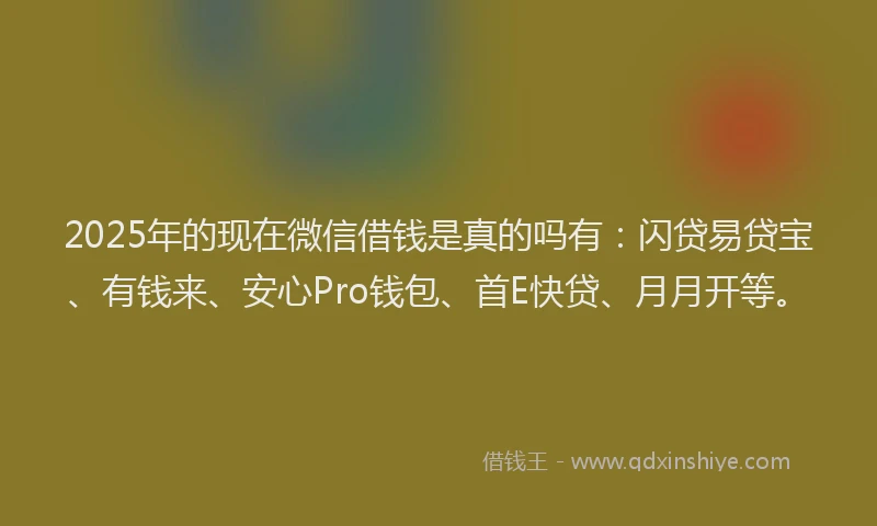 2025年的现在微信借钱是真的吗有：闪贷易贷宝、有钱来、安心Pro钱包、首E快贷、月月开等。