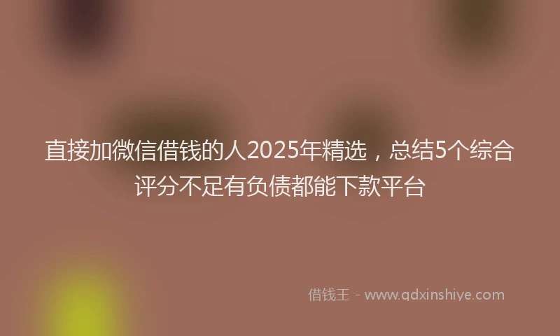 直接加微信借钱的人2025年精选，总结5个综合评分不足有负债都能下款平台