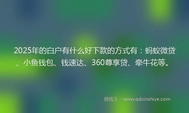 2025年的白户有什么好下款的方式有：蚂蚁微贷、小鱼钱包、钱速达、360尊享贷、牵牛花等。