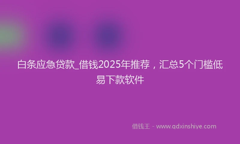 白条应急贷款_借钱2025年推荐，汇总5个门槛低易下款软件