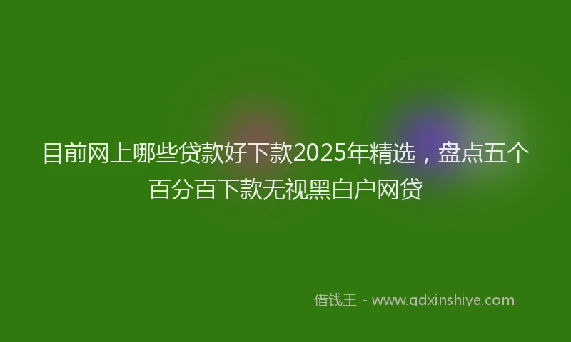 目前网上哪些贷款好下款2025年精选，盘点五个百分百下款无视黑白户网贷