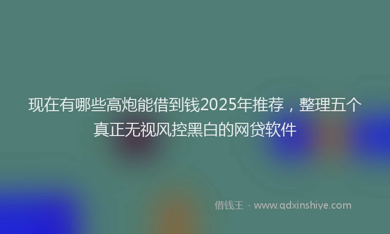 现在有哪些高炮能借到钱2025年推荐，整理五个真正无视风控黑白的网贷软件