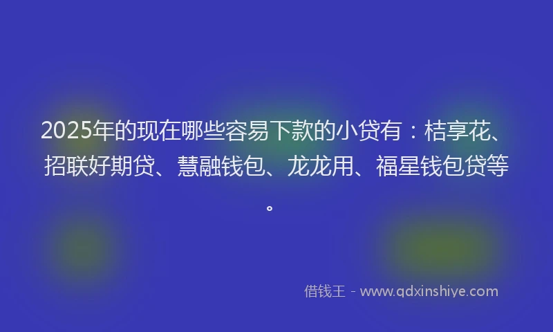 2025年的现在哪些容易下款的小贷有：桔享花、招联好期贷、慧融钱包、龙龙用、福星钱包贷等。
