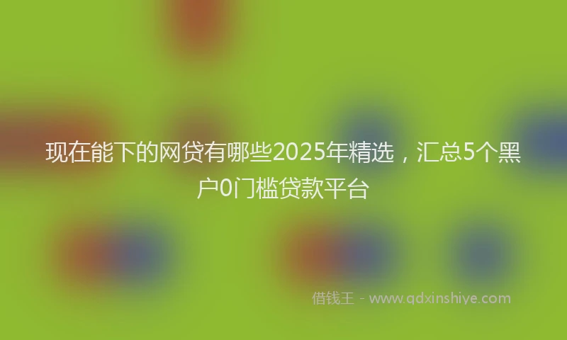 现在能下的网贷有哪些2025年精选，汇总5个黑户0门槛贷款平台