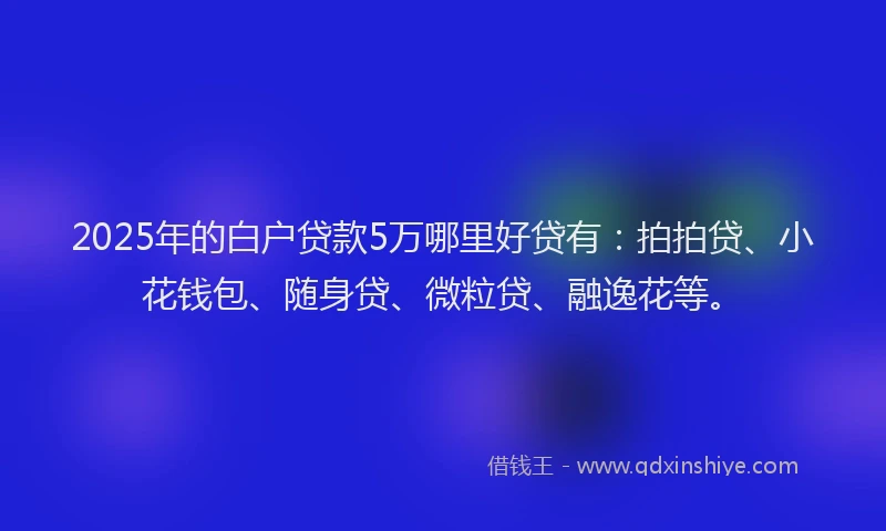 2025年的白户贷款5万哪里好贷有：拍拍贷、小花钱包、随身贷、微粒贷、融逸花等。