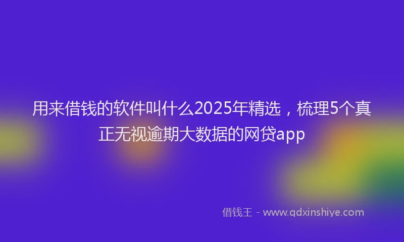 用来借钱的软件叫什么2025年精选，梳理5个真正无视逾期大数据的网贷app