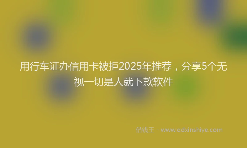用行车证办信用卡被拒2025年推荐，分享5个无视一切是人就下款软件