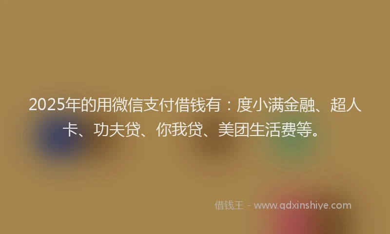 2025年的用微信支付借钱有：度小满金融、超人卡、功夫贷、你我贷、美团生活费等。