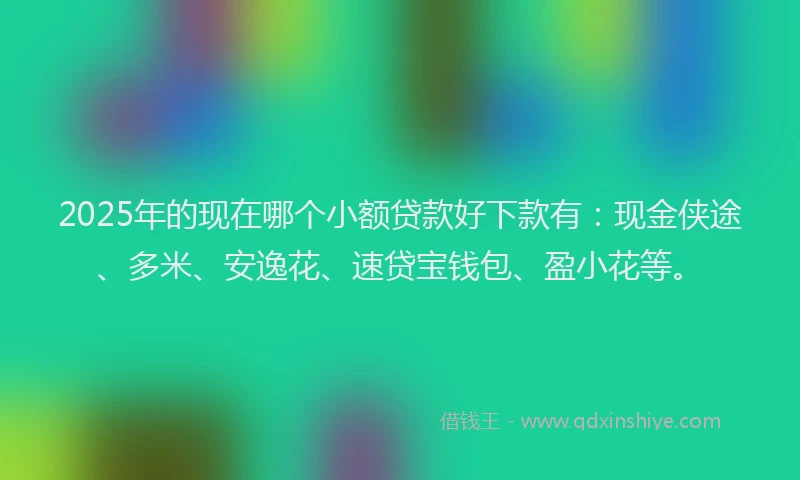 2025年的现在哪个小额贷款好下款有：现金侠途、多米、安逸花、速贷宝钱包、盈小花等。