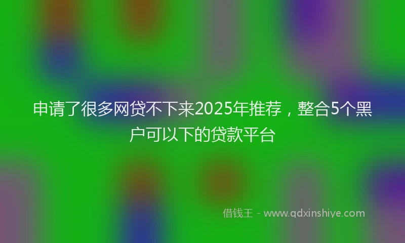 申请了很多网贷不下来2025年推荐，整合5个黑户可以下的贷款平台