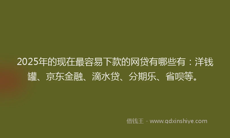 2025年的现在最容易下款的网贷有哪些有：洋钱罐、京东金融、滴水贷、分期乐、省呗等。