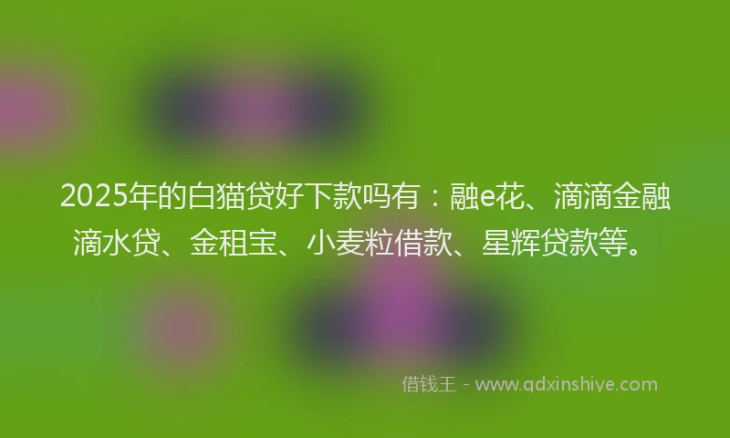 2025年的白猫贷好下款吗有：融e花、滴滴金融滴水贷、金租宝、小麦粒借款、星辉贷款等。