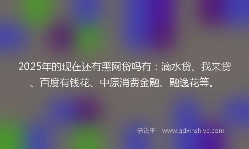 2025年的现在还有黑网贷吗有：滴水贷、我来贷、百度有钱花、中原消费金融、融逸花等。