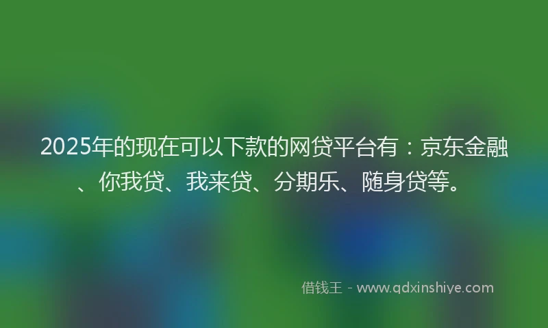 2025年的现在可以下款的网贷平台有：京东金融、你我贷、我来贷、分期乐、随身贷等。