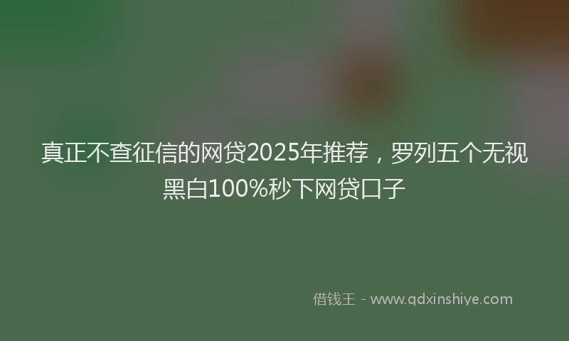真正不查征信的网贷2025年推荐，罗列五个无视黑白100%秒下网贷口子