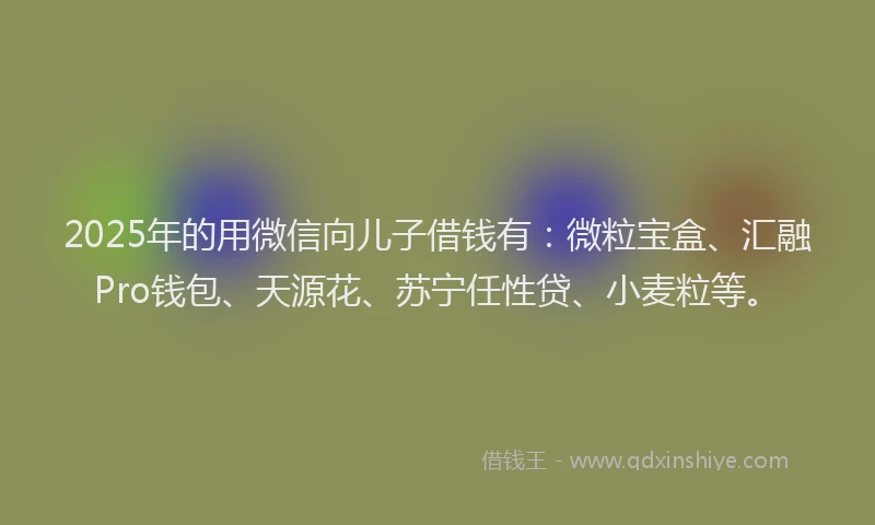 2025年的用微信向儿子借钱有：微粒宝盒、汇融Pro钱包、天源花、苏宁任性贷、小麦粒等。