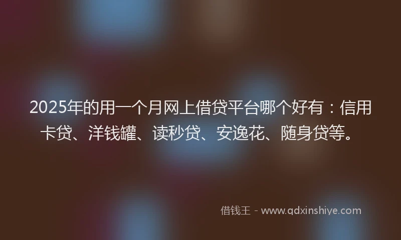 2025年的用一个月网上借贷平台哪个好有：信用卡贷、洋钱罐、读秒贷、安逸花、随身贷等。