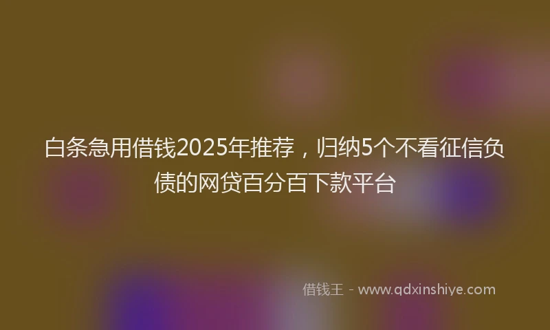 白条急用借钱2025年推荐，归纳5个不看征信负债的网贷百分百下款平台