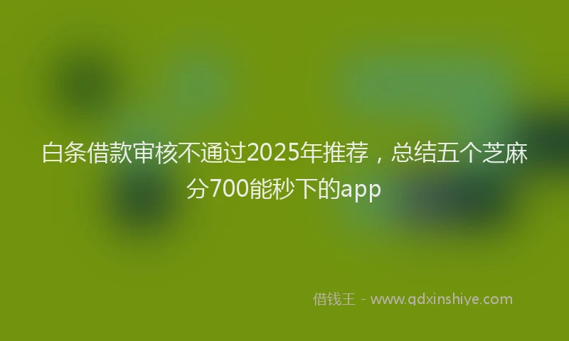 白条借款审核不通过2025年推荐，总结五个芝麻分700能秒下的app