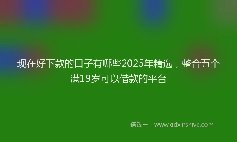 现在好下款的口子有哪些2025年精选，整合五个满19岁可以借款的平台
