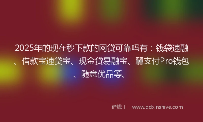 2025年的现在秒下款的网贷可靠吗有：钱袋速融、借款宝速贷宝、现金贷易融宝、翼支付Pro钱包、随意优品等。
