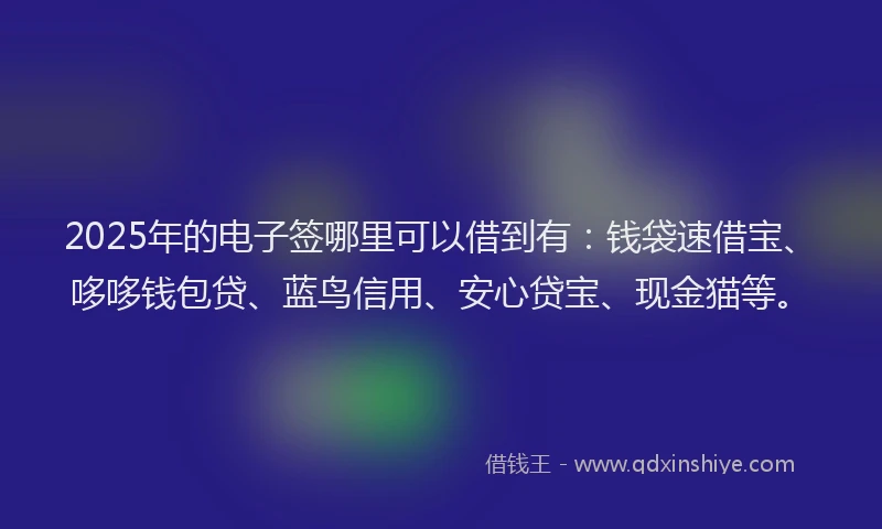 2025年的电子签哪里可以借到有：钱袋速借宝、哆哆钱包贷、蓝鸟信用、安心贷宝、现金猫等。
