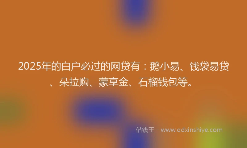 2025年的白户必过的网贷有：鹅小易、钱袋易贷、朵拉购、蒙享金、石榴钱包等。