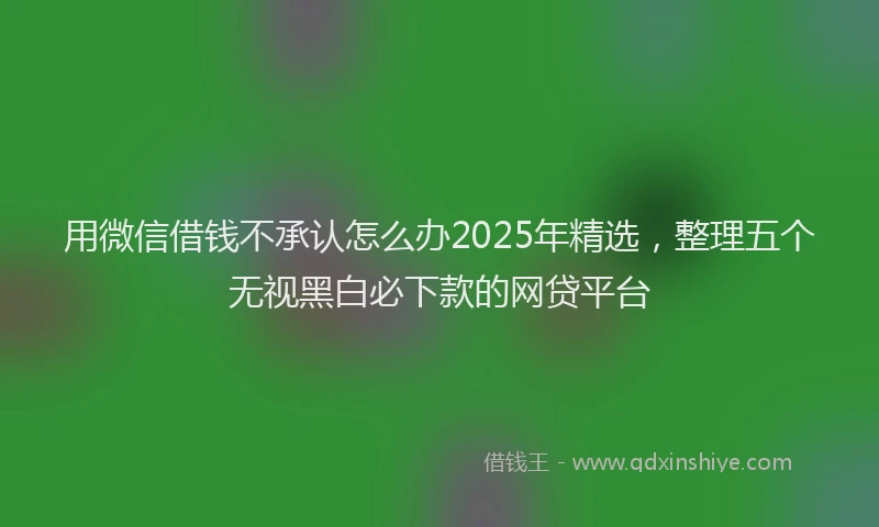 用微信借钱不承认怎么办2025年精选，整理五个无视黑白必下款的网贷平台