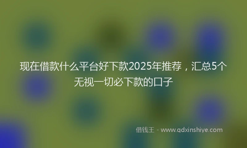现在借款什么平台好下款2025年推荐，汇总5个无视一切必下款的口子