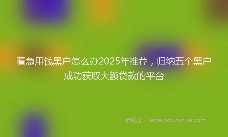 着急用钱黑户怎么办2025年推荐，归纳五个黑户成功获取大额贷款的平台