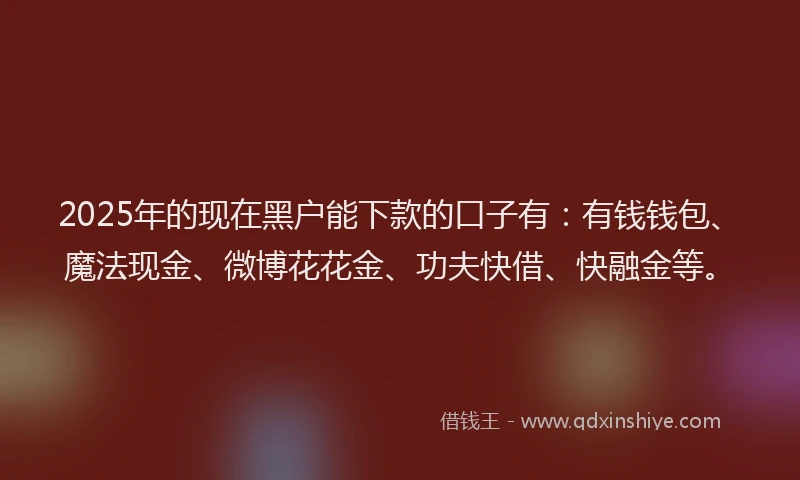 2025年的现在黑户能下款的口子有：有钱钱包、魔法现金、微博花花金、功夫快借、快融金等。