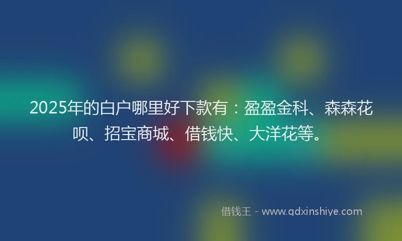 2025年的白户哪里好下款有：盈盈金科、森森花呗、招宝商城、借钱快、大洋花等。