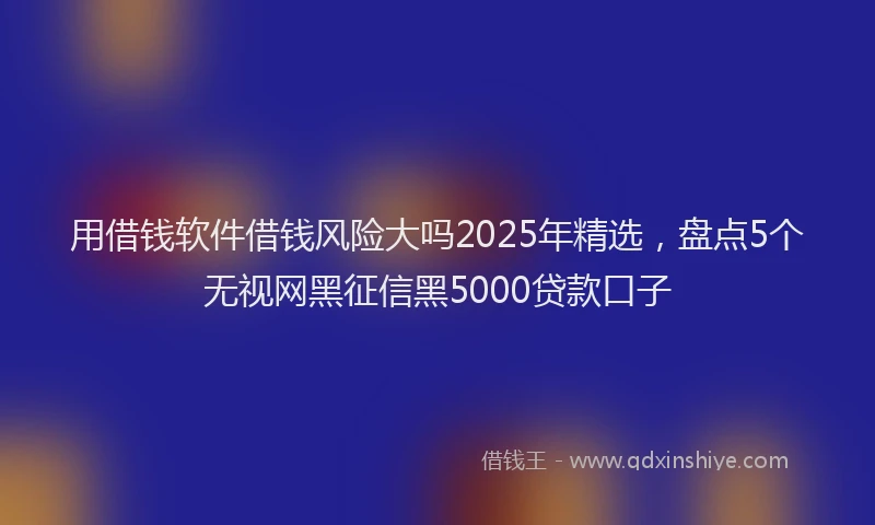 用借钱软件借钱风险大吗2025年精选，盘点5个无视网黑征信黑5000贷款口子