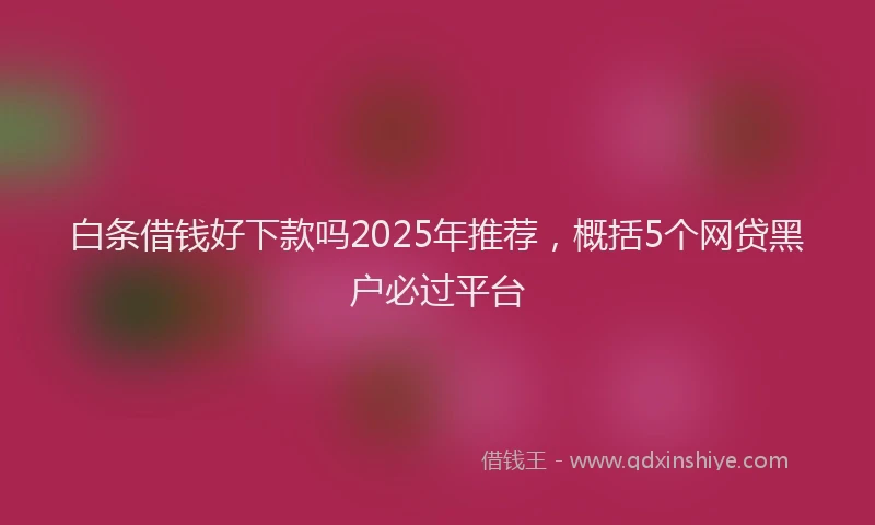 白条借钱好下款吗2025年推荐，概括5个网贷黑户必过平台