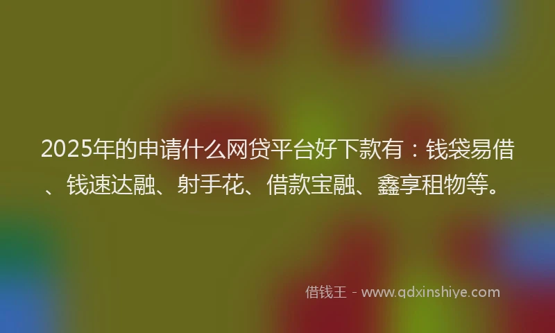 2025年的申请什么网贷平台好下款有：钱袋易借、钱速达融、射手花、借款宝融、鑫享租物等。