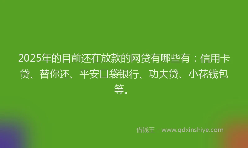 2025年的目前还在放款的网贷有哪些有：信用卡贷、替你还、平安口袋银行、功夫贷、小花钱包等。