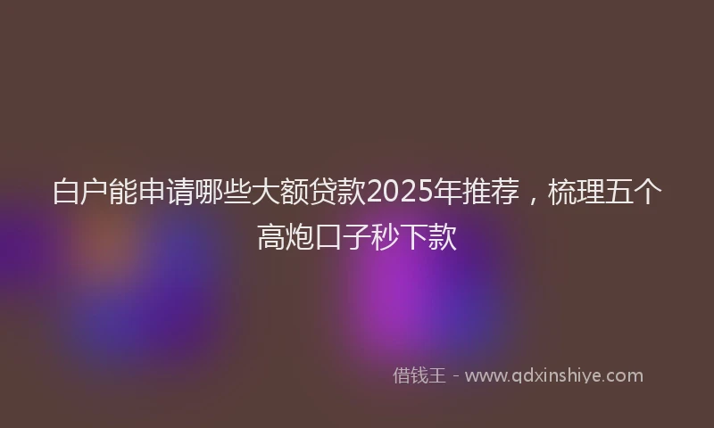 白户能申请哪些大额贷款2025年推荐，梳理五个高炮口子秒下款