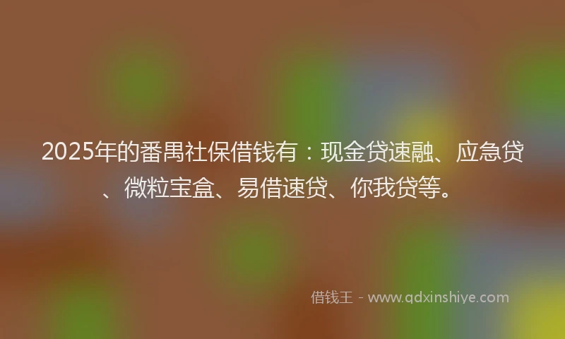 2025年的番禺社保借钱有：现金贷速融、应急贷、微粒宝盒、易借速贷、你我贷等。